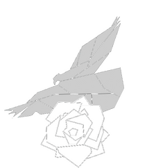 Hawk and Rose Creative Web Design